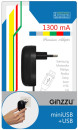 Сетевое зарядное устройство GINZZU GA-3108UB 1.3А miniUSB черный3