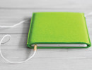 Чехол Safo Iris для iPad зеленый2