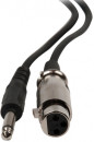 Микрофон Ritmix RWM-100 3м черный2