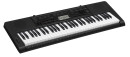 Синтезатор Casio CTK-3200 61 клавиша USB AUX черный2