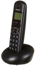 Радиотелефон DECT Panasonic KX-TGB210RUB черный2