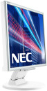 Монитор 17" NEC E171M серебристый TN 1280x1024 250 cd/m^2 5 ms DVI VGA3