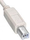 Кабель USB 2.0 AM-BM 1.8м Buro ферритовые кольца USB2.0-AM/BM-1.8M-MG 8172596
