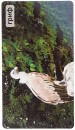 Развивающие карточки Умница Мир на ладошке Чудо птицы 04304
