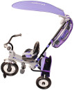 Рюкзак RichToys Тачки для велосипедов и самокатов фиолетовый3