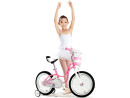 Велосипед двухколёсный Royal baby Little Swan 12 розовый3