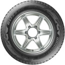 Шина Bridgestone Blizzak DM-V2 215/70 R16 100S3