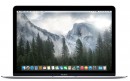 Ноутбук Apple MacBook 12" 2304x1440 Intel Core M-5Y71 512 Gb 8Gb Intel HD Graphics 5300 серебристый Mac OS X Z0QT0001U