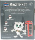 Интерактивная игрушка Intek International Мистер Кэт от 3 лет серый MRC01\\M4
