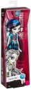 Кукла Monster High Главные герои Frankie Stain 25 см DKY202