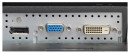 Монитор 20" NEC E203Wi-BK черный IPS 1600x900 250 cd/m^2 6 ms DVI DisplayPort VGA5