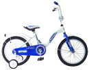 Велосипед двухколёсный Rich Toys Aluminium BA Ecobike голубой 5415/KG1621