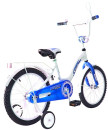 Велосипед двухколёсный Rich Toys Aluminium BA Ecobike голубой 5415/KG16213