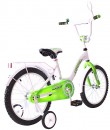 Велосипед двухколёсный Rich Toys Aluminium BA Ecobike зеленый 5418/KG18213
