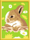 Раскраска по номерам Ravensburger «Кролик в ромашках» от 7 лет2