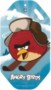 Ледянка 1Toy Angry Birds пластик голубой Т57212