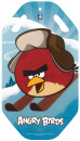 Ледянка 1Toy Angry Birds пластик голубой Т572122