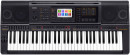 Синтезатор Casio MZ-X300 61 клавиша USB черный