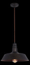 Подвесной светильник Maytoni Campane T023-01-R2