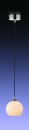 Подвесной светильник Odeon Eruca 1343/W