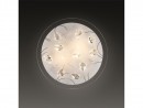 Потолочный светильник Sonex Vesa 1233
