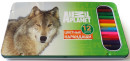 Набор цветных карандашей Action! Animal Planet 12 шт AP-ACP305-12 AP-ACP305-12