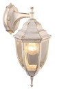 Уличный настенный светильник Arte Lamp Pegasus A3152AL-1WG