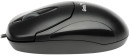 Мышь проводная Genius Mouse XScroll V3 чёрный USB7