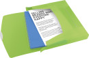 Папка-бокс Esselte VIVIDA, полипропилен, 0,7 мм, кореш. 40мм, на резинке, зеленый 624051