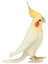 Мягкая игрушка попугай Hansa 6457 23 см белый искусственный мех синтепон пластик 4567
