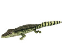 Мягкая игрушка крокодил Hansa Крокодил Филиппинский 72 см разноцветный текстиль синтепон 6572