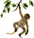 Мягкая игрушка обезьянка Hansa Паукообразная обезьяна 44 см рыжий коричневый искусственный мех синтепон 3934П