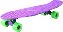 Скейтборд Y-SCOO Big Fishskateboard 27" RT винил 68,6х19 с сумкой PURPLE/green 402-Pr2