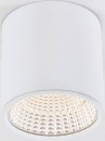 Потолочный светодиодный светильник Citilux Стамп CL558070