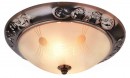 Потолочный светильник Arte Lamp 28 A3014PL-2AC