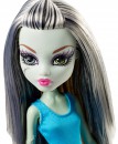 Кукла Monster High Стильная Фрэнки 27 см DNM274