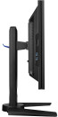 Монитор 24" BENQ PG2401PT черный IPS 1920x1200 350 cd/m^2 5 ms DVI HDMI DisplayPort VGA Аудио USB8