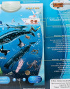 Электронный звуковой плакат Знаток Подводный мир PL-095