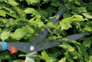 Ножницы для живой изгороди Gardena Classic 540 FSC 00391-20.000.003