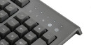 Клавиатура проводная Razer Cynosa Pro USB черный RZ03-01470200-R3R14