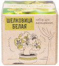 Набор для выращивания ЭКОКУБ "Шелковица белая" ECB-01-172