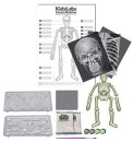 Игровой набор 4m Юный врач. Скелет человека 00-033752