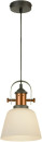 Подвесной светильник Lussole Loft LSP-9846