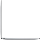 Ноутбук Apple MacBook 12" 2304x1440 Intel Core i5 512 Gb 8Gb Intel HD Graphics 615 серебристый macOS MNYJ2RU/A2