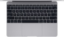 Ноутбук Apple MacBook 12" 2304x1440 Intel Core i5 512 Gb 8Gb Intel HD Graphics 615 серебристый macOS MNYJ2RU/A3