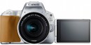 Зеркальная фотокамера Canon EOS 200D EF-S 18-55mm 24Mp серебристый 2256C0013