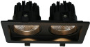 Встраиваемый светодиодный светильник Arte Lamp Privato A7007PL-2BK