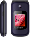 teXet TM-B216 синий Мобильный телефон3