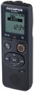 Цифровой диктофон Olympus VN-540PC 4Гб черный3