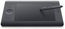 Графический планшет Wacom Intuos Pro PTH-451-RUPL#PAINTER2018 USB2